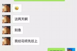 汉中债务清欠服务